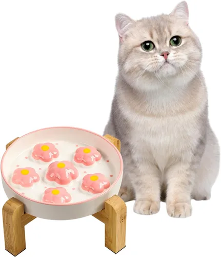 Vista 11 de Cuenco de cerámica para gatos con alimentación lenta, 6.3 pulgadas Naranja