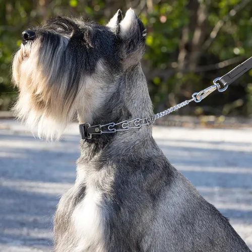 Vista 6 de Collar de perro de acero cromado Herm Sprenger para perros pequeños con hebilla de liberación rápida ClicLock y inserto de Biothane Collar de punta