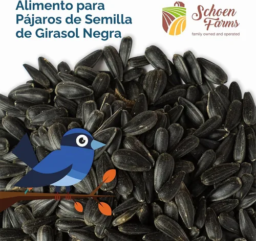 Vista 4 de Schoen Farms Semillas de girasol de aceite negro para pájaros (6 libras)