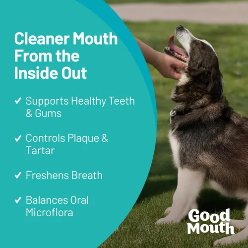 Vista 2 de Good Mouth - Masticables dentales para perros – Controla la placa y el sarro, promueve el aliento fresco, apoya la salud oral y las encías