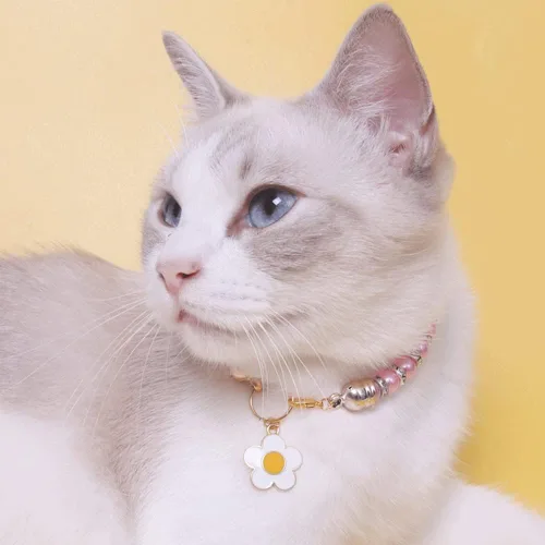 Vista 2 de Collares de perlas para mascotas, collares de diamantes, accesorios para collar de gato y perro, suministros para mascotas