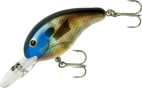 Vista 13 de Bandit Lures BDT