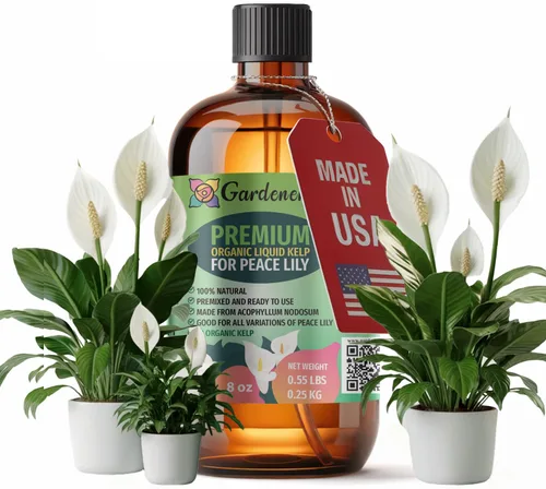 Vista 56 de GARDENERA Superalimento orgánico prémium de algas marinas y algas marinas para plantas AROID - 32 oz - Concentrado de fertilizante líquido de algas