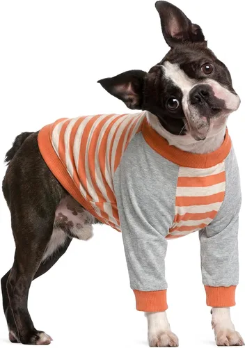 Vista 25 de FUAMEY Manga de recuperación para perros con protector de codo, camisa para perros para dejar de lamer las articulaciones, traje de manga larga