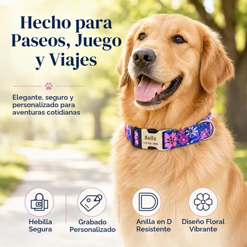 Vista 6 de Collar de perro personalizado personalizado con etiqueta de identificación grabada, nombre de perro y número de teléfono/collares de perro