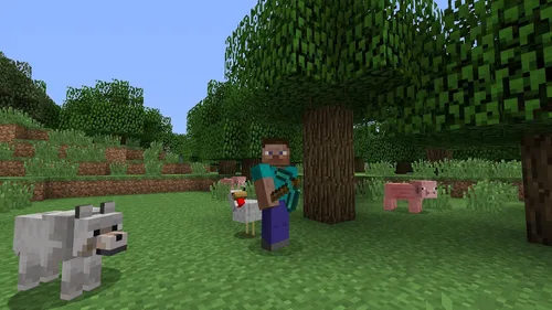 Vista 4 de Minecraft (PS4)