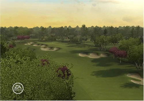 Vista 9 de Tiger Woods PGA Tour 09 All-Play - Nintendo Wii