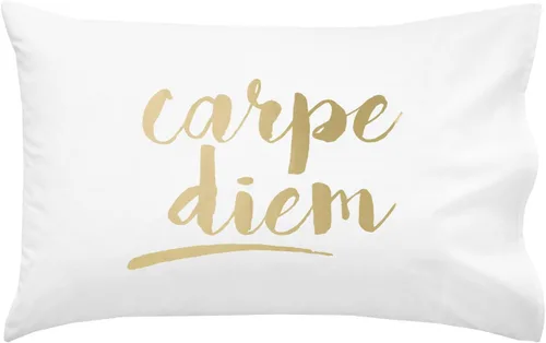 Vista 13 de Oh, Susannah Carpe Diem - Funda de almohada cursiva de 18 x 18 pulgadas, fundas de almohada inspiradoras doradas