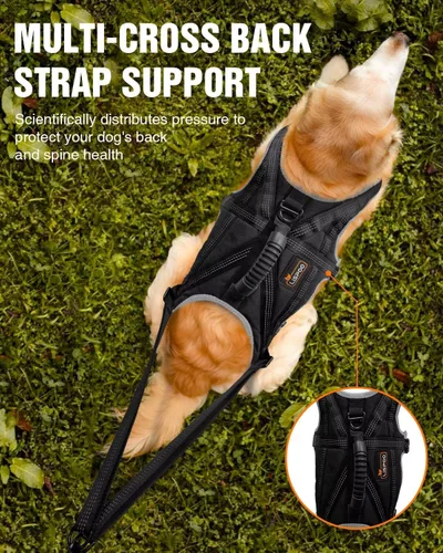 Vista 4 de Juego de arnés para correr para perros con cinturón y correa de absorción de golpes Hands-Free Control, Easy to Put On Design for Medium to Large