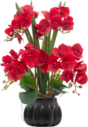 Vista 15 de CXGS Planta de orquídeas artificiales de 20.9 pulgadas, orquídeas artificiales de tacto real en jarrón de cerámica, arreglo floral de Phalaenopsis