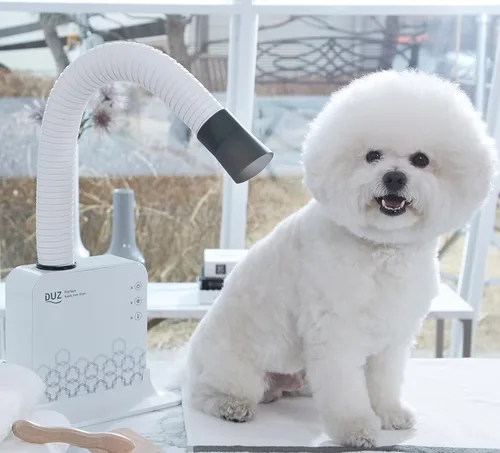 Vista 2 de DUZ - Secador de mascotas manos libres premium, 900 W, compacto, blanco, tubo de secado ajustable de 360 grados, botones táctiles, motor BLDC