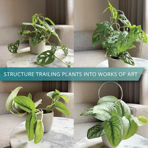 Vista 2 de Pequeño enrejado de metal para plantas de interior, estacas de metal para plantas trepadoras, soporte para plantas en maceta, orquídeas, Monstera