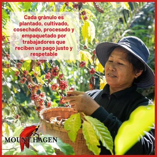 Vista 6 de Mount Hagen Café descafeinado instantáneo orgánico liofilizado de 3.53 onzas Café descafeinado ecológico de comercio justo hecho de granos arábica