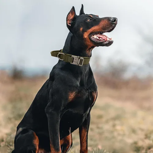 Vista 7 de Collar táctico para perro con asa - Collar militar ajustable de entrenamiento para perros de nailon suave y hebilla de metal resistente para perros