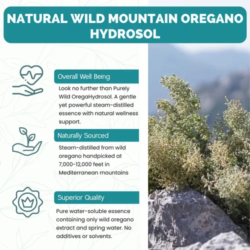 Vista 3 de PURELY WILD Dr. Cass Ingram's OregaHydrosol - Jugo de orégano mediterráneo salvaje para apoyo inmunológico, salud respiratoria y digestiva, sin OMG