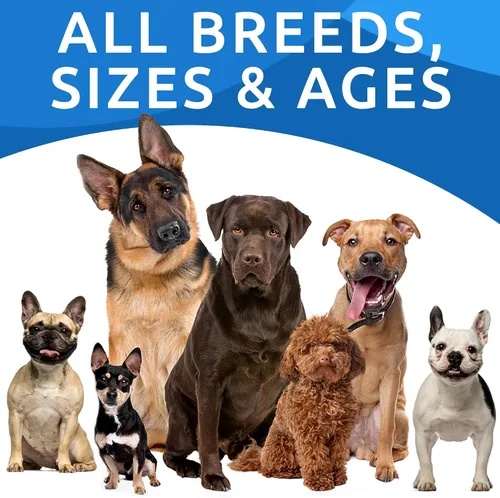 Vista 6 de BARK&SPARK Masticables totalmente naturales para quemar hierba para perros, protector de manchas de césped para orina, golosinas para restaurar