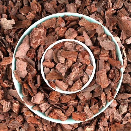 Vista 10 de AVALUTION Corteza para macetas de orquídeas: corteza de orquídea orgánica de 3 cuartos para plantas, todos los chips de madera de corteza de pino
