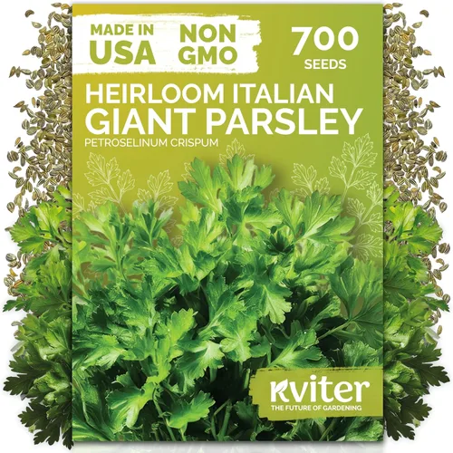 Vista 10 de KVITER 1000 semillas de quinua de cordero (Chenopodium Album) - Hierbas comestibles autóctonas, ideales para jardines de hierbas orgánicas