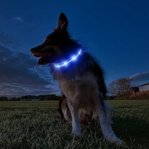 Vista 7 de MASBRILL Collar de perro con luces LED RGB, collar de perro recargable iluminado resistente al agua, collar de perro que brilla por la noche