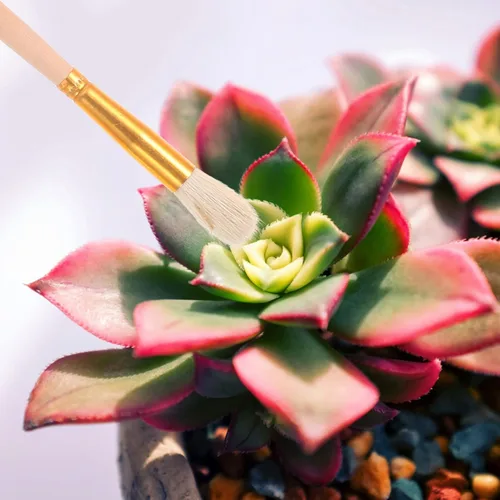 Vista 8 de GANAZONO 8PCS Polinizador de Plantas Suculentas Plantas Cepillo de Limpieza Herramientas de Jardinería Paisaje Miniaturas Cepillador Cepillo