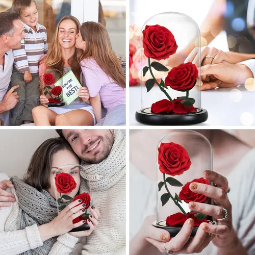 Vista 4 de Regalos para mujeres, rosa roja preservada para siempre, regalo de cumpleaños, día de San Valentín, con flor eterna roja en cúpula de cristal #Rojo