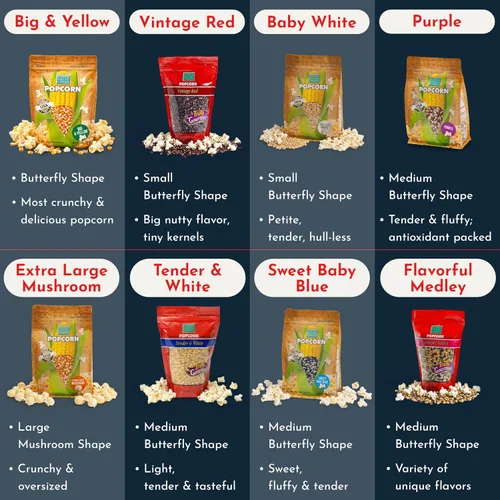 Vista 8 de Palomitas de maíz extra grandes en forma de hongo - Wabash Valley Farms, palomitas de maíz grandes en forma de hongo para reventar, granos