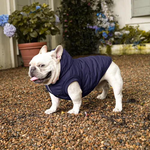 Vista 6 de vecomfy - Sudadera con capucha para perro, forro polar y algodón, extra cálida, para invierno, chaqueta para perro pequeño, abrigos con capucha