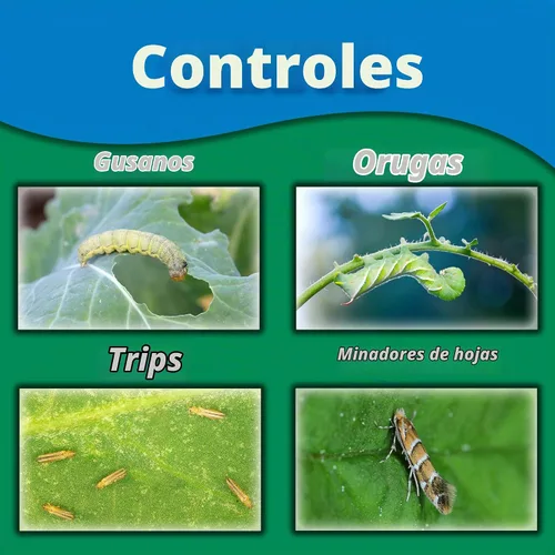 Vista 2 de Monterey Spinosad Insecticida Garden Spray, 8 onzas con cuchara