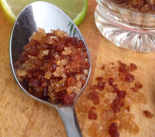 Vista 5 de Florida Sun Kefir Agua Deshidratada Kéfir Granos (Cristales, Tibicos)