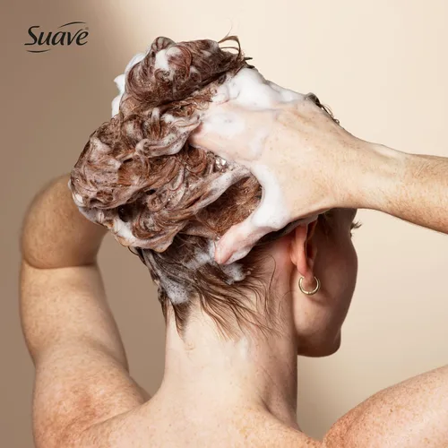 Vista 4 de Suave Silk Protein - Champú suave y elegante para cabello seco e inmanejable, antihumedad + control de encrespamiento 48 horas, mejora el brillo
