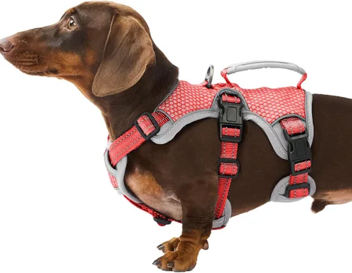 Vista 36 de Huntboo - Arnés para perro a prueba de escape, arnés reflectante con asa, duradero, chaleco ajustable para perros pequeños, medianos y grandes