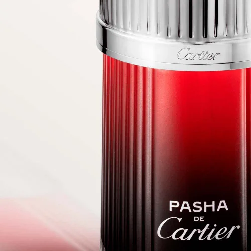 Vista 4 de Pasha de Cartier Edition Noire Sport para hombre 3.3 oz Eau de Toilette Spray