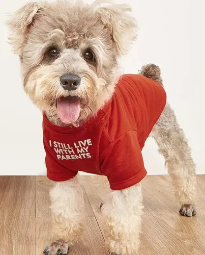 Vista 7 de Ropa linda para perro, camiseta para perros medianos y pequeños, niña y niño, cachorro. Disfraz suave y transpirable para mascotas, perros, gatos