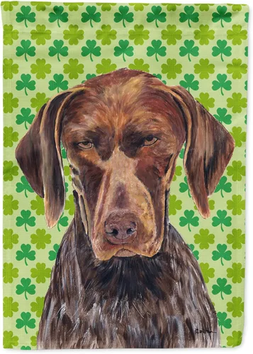 Vista 175 de Caroline's Treasures SS4442GF Affenpinscher Bandera de jardín con retrato de trébol del día de San Patricio para buzón, bandera decorativa