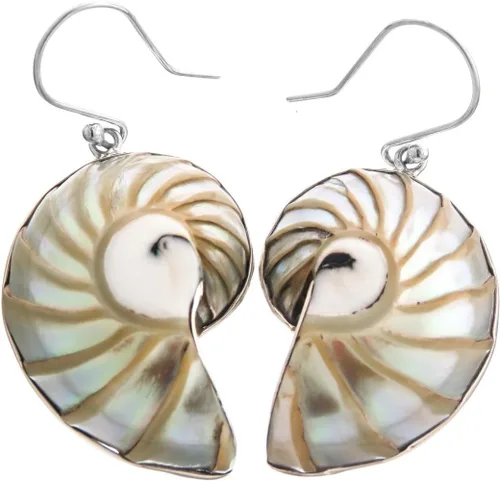 Vista 2 de naturales Patterned Nautilus shell océano 925 plata esterlina arete, 1 14