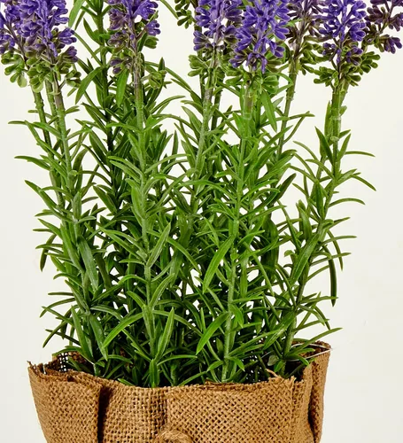 Vista 3 de Worth Imports Lavanda artificial de 16" en un recipiente de saco de arpillera