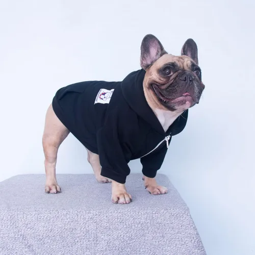 Vista 2 de 2pcs French Bulldog Pug Zipper Hoodies Clothes Black Grey - Medium Zipped Sweatshirts Cold Winter Coats Sweaters for Frenchie Boston Terrier Puppy