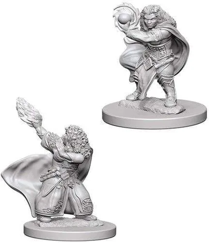 Vista 3 de D&D NMU: Paladín macho enano W4