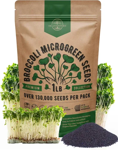 Vista 7 de Organo Republic Semillas de Rúcula para Germinación y Microgreens - Kit de Semillas de Brotes Sin OGM, Reliquia, Bolsa Resellable de 1 libra