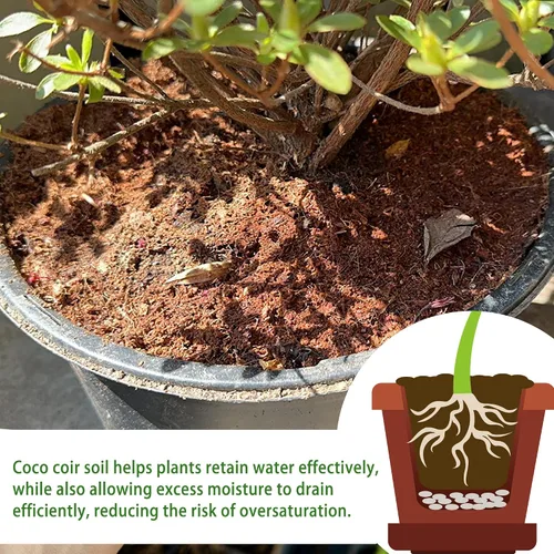 Vista 5 de Ladrillo de coco para suelo de coco orgánico - Paquete de 2 con bajo equilibrio de EC y pH - Fibra de alta expansión para hierbas y flores - Medio