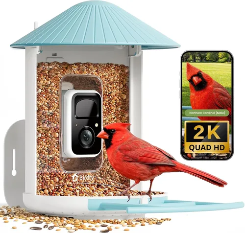 Vista 10 de NETVUE by Birdfy - Comedero inteligente para pájaros con cámara AI 2K, valor para principiantes Amarillo