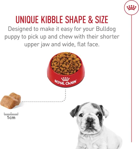 Vista 5 de ROYAL CANIN NUTRICIÓN SANA PARA RAZA bulldog cachorro, alimento seco para perro