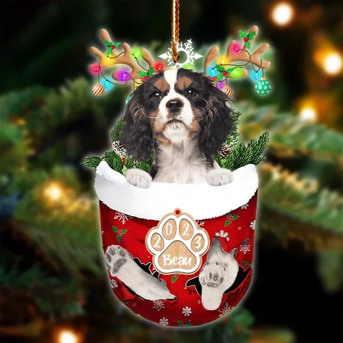 Vista 94 de NAZENTI Adorno Navideño de Bolsillo Personalizado de Affenpinscher en la Nieve, Adorno de Forma Acrílica de Perro, Adorno de Navidad 2023, Adorno