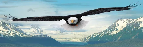 Vista 2 de EuroGraphics Eagle Panoramic 1000pc
