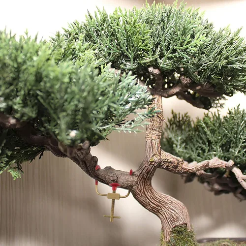 Vista 5 de BambooMN Bonsai 2 Branch Benders