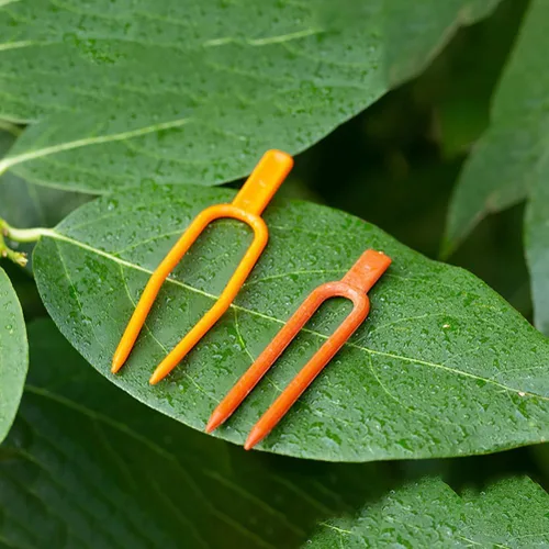 Vista 5 de GANAZONO 400 piezas de soporte de alambre fijo para horquilla de vid para cables, plantas de fresa, clips de fijación de fresa, lazos de plantas