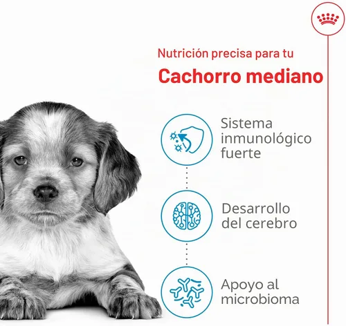 Vista 4 de Royal Canin Size Health Nutrition - Alimento seco para cachorros medianos, bolsa de 4 libras
