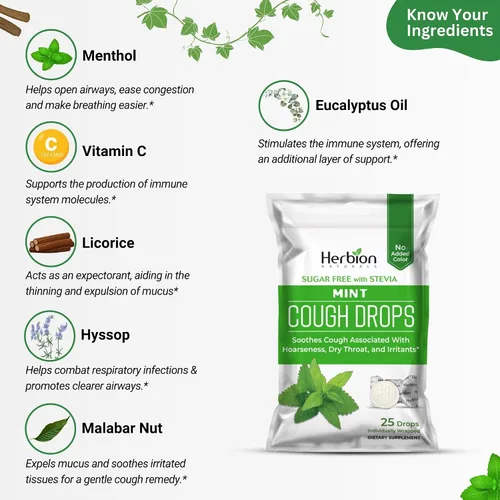Vista 2 de HERBION Naturals - Gotas para la tos, sin azúcar con stevia, suplemento dietético, alivia la tos, para adultos y niños mayores de 6 años, 125 gotas