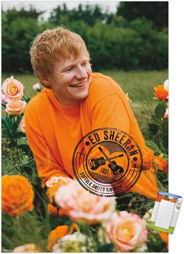 Vista 12 de Trends International Ed Sheeran - Póster de pared de campo de rosas, 22.37 x 34.00 pulgadas, versión enmarcada de madera de granero