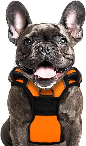 Vista 10 de Buddy's Best Arnés para perro, arnés sin tirones para mascotas, con 2 clips para correa, arnés ajustable suave acolchado reflectante de seguridad